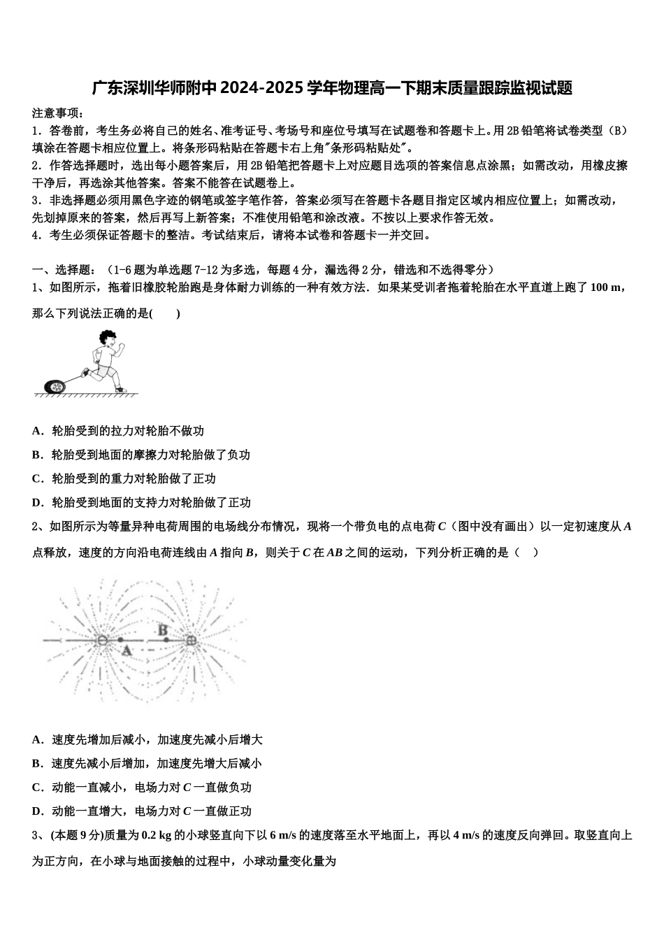广东深圳华师附中2024-2025学年物理高一下期末质量跟踪监视试题含解析_第1页