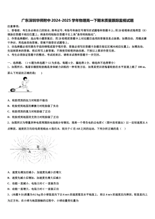 广东深圳华师附中2024-2025学年物理高一下期末质量跟踪监视试题含解析