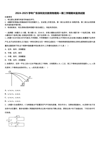 2024-2025学年广东深圳龙文教育物理高一第二学期期末监测试题含解析