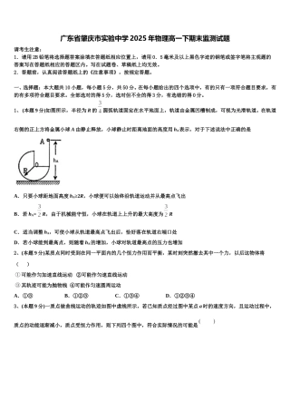 广东省肇庆市实验中学2025年物理高一下期末监测试题含解析