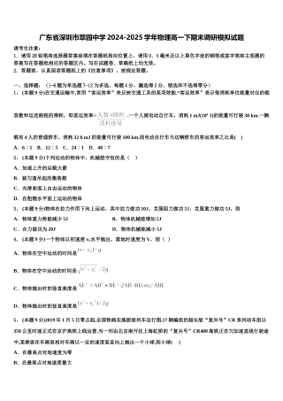 广东省深圳市翠园中学2024-2025学年物理高一下期末调研模拟试题含解析