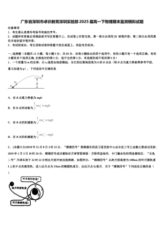 广东省深圳市卓识教育深圳实验部2025届高一下物理期末监测模拟试题含解析
