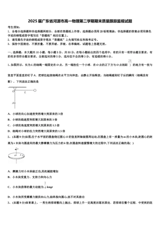 2025届广东省河源市高一物理第二学期期末质量跟踪监视试题含解析