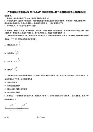 广东省惠州市惠港中学2024-2025学年物理高一第二学期期末复习检测模拟试题含解析