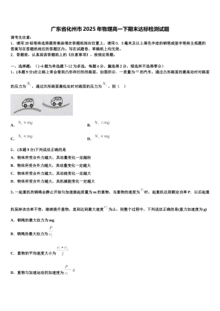 广东省化州市2025年物理高一下期末达标检测试题含解析