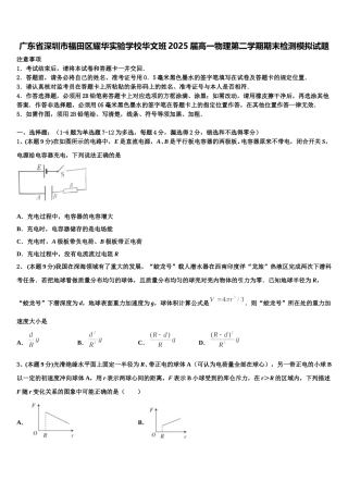 广东省深圳市福田区耀华实验学校华文班2025届高一物理第二学期期末检测模拟试题含解析
