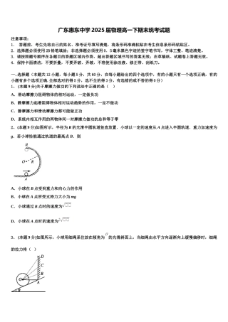 广东惠东中学2025届物理高一下期末统考试题含解析