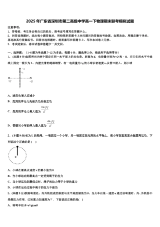 2025年广东省深圳市第二高级中学高一下物理期末联考模拟试题含解析