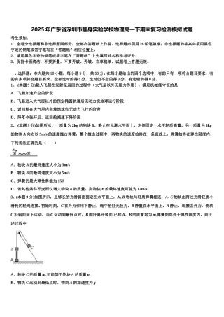 2025年广东省深圳市翻身实验学校物理高一下期末复习检测模拟试题含解析