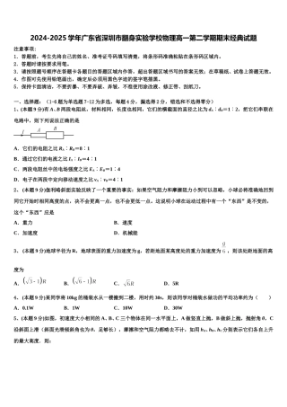 2024-2025学年广东省深圳市翻身实验学校物理高一第二学期期末经典试题含解析