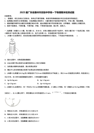 2025届广东省惠州市实验中学高一下物理期末检测试题含解析