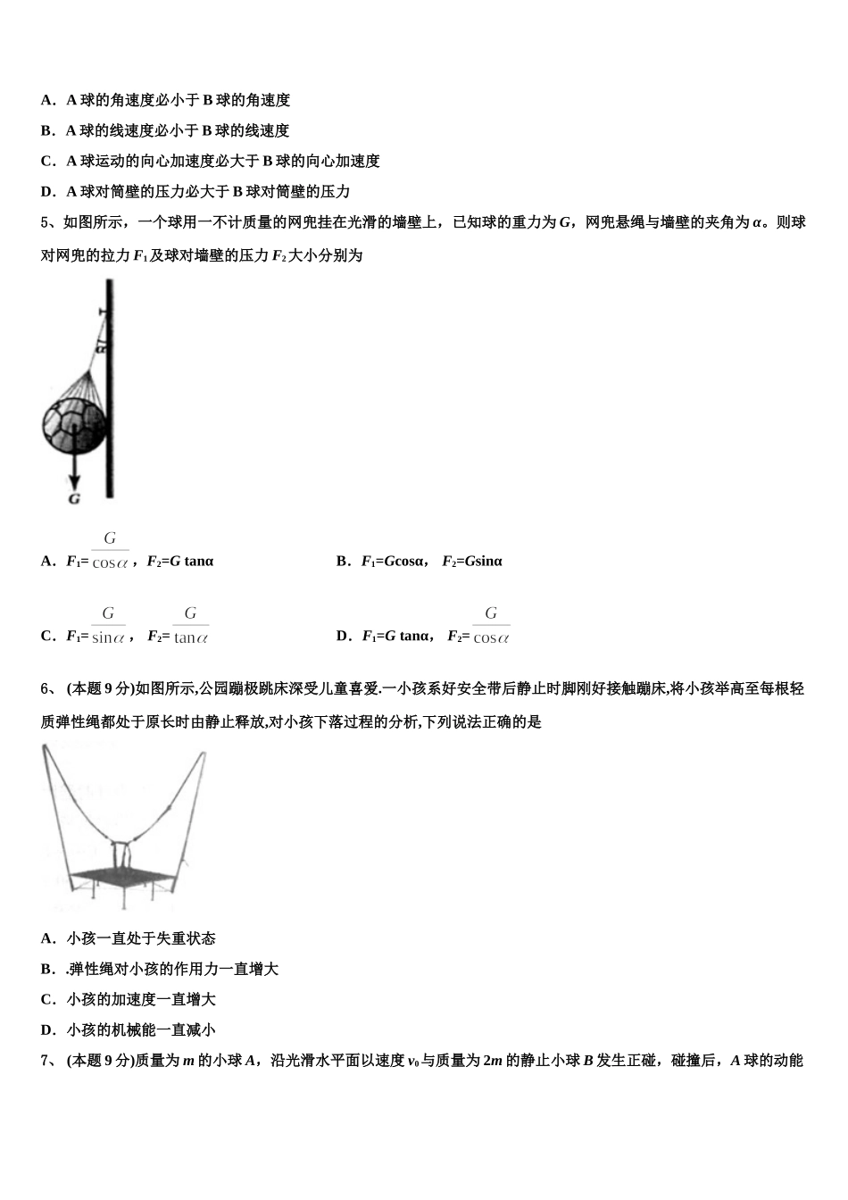 2024-2025学年广东省惠州市惠港中学物理高一第二学期期末质量跟踪监视模拟试题含解析_第2页