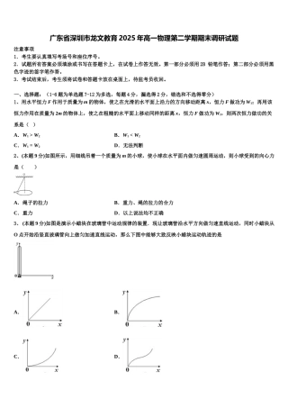 广东省深圳市龙文教育2025年高一物理第二学期期末调研试题含解析