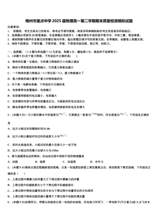 梅州市重点中学2025届物理高一第二学期期末质量检测模拟试题含解析