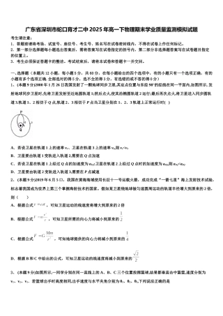 广东省深圳市蛇口育才二中2025年高一下物理期末学业质量监测模拟试题含解析