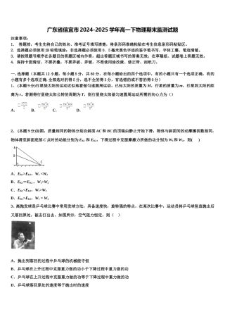 广东省信宜市2024-2025学年高一下物理期末监测试题含解析