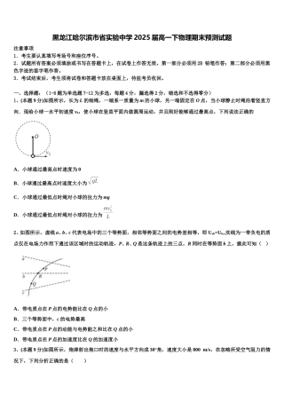 黑龙江哈尔滨市省实验中学2025届高一下物理期末预测试题含解析