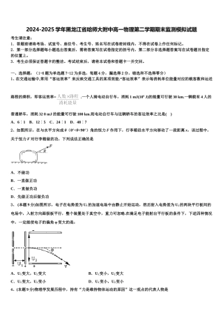 2024-2025学年黑龙江省哈师大附中高一物理第二学期期末监测模拟试题含解析