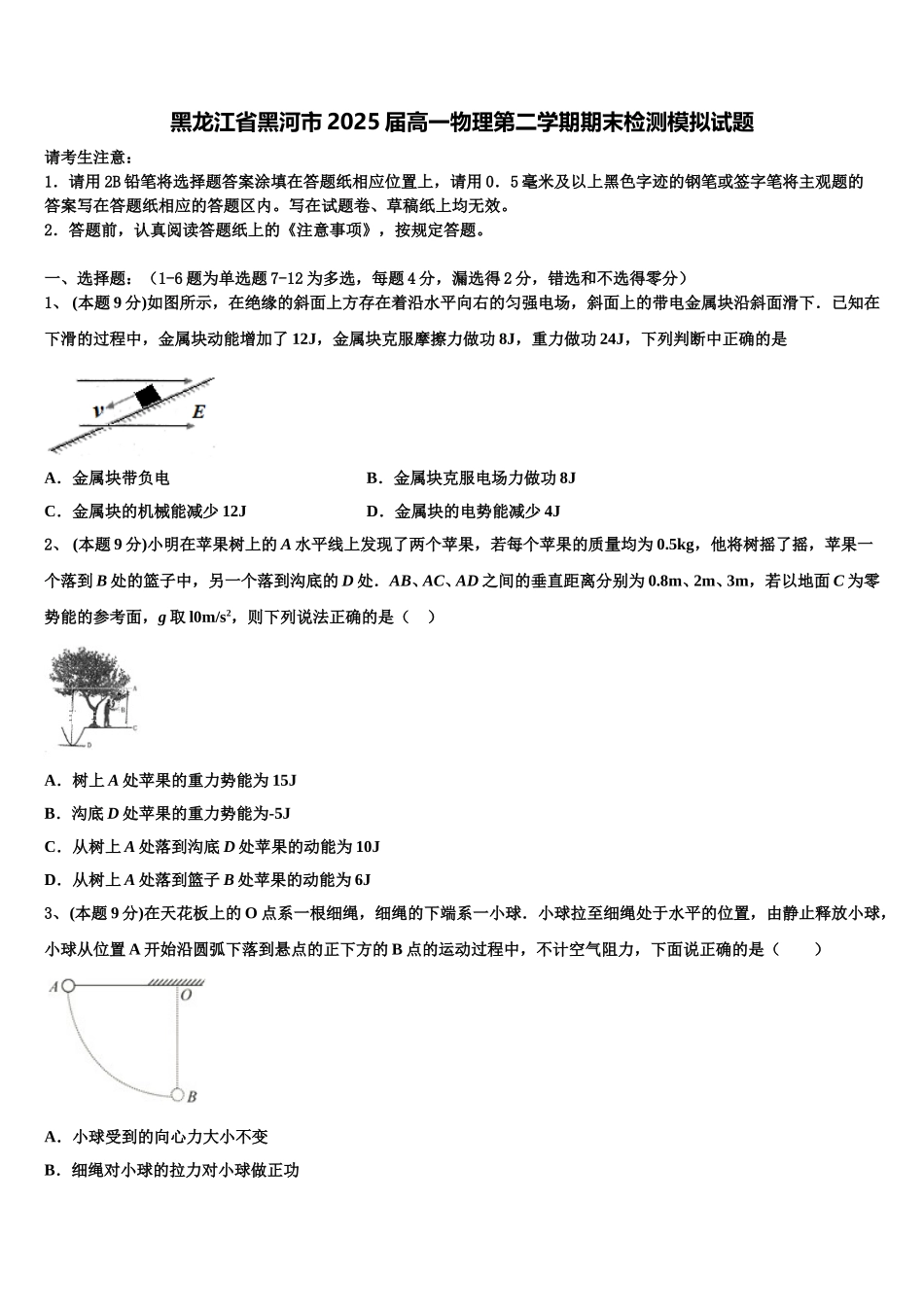 黑龙江省黑河市2025届高一物理第二学期期末检测模拟试题含解析_第1页