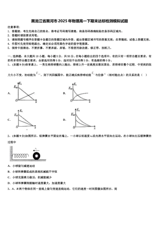 黑龙江省黑河市2025年物理高一下期末达标检测模拟试题含解析