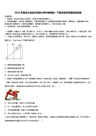 2025年黑龙江省哈尔滨师大附中物理高一下期末教学质量检测试题含解析