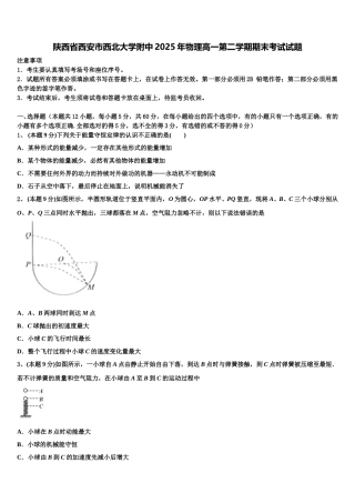 陕西省西安市西北大学附中2025年物理高一第二学期期末考试试题含解析