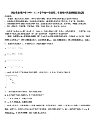 浙江省余姚八中2024-2025学年高一物理第二学期期末质量跟踪监视试题含解析