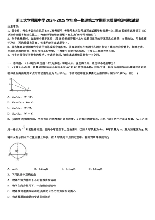 浙江大学附属中学2024-2025学年高一物理第二学期期末质量检测模拟试题含解析