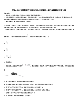 2024-2025学年浙江省嘉兴市七校物理高一第二学期期末统考试题含解析