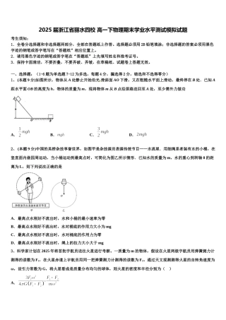 2025届浙江省丽水四校 高一下物理期末学业水平测试模拟试题含解析