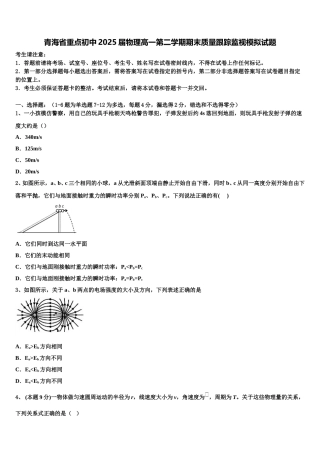 青海省重点初中2025届物理高一第二学期期末质量跟踪监视模拟试题含解析