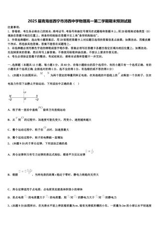 2025届青海省西宁市沛西中学物理高一第二学期期末预测试题含解析