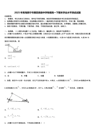 2025年青海西宁市第四高级中学物理高一下期末学业水平测试试题含解析
