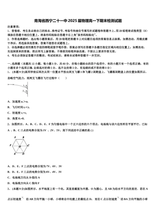 青海省西宁二十一中2025届物理高一下期末检测试题含解析