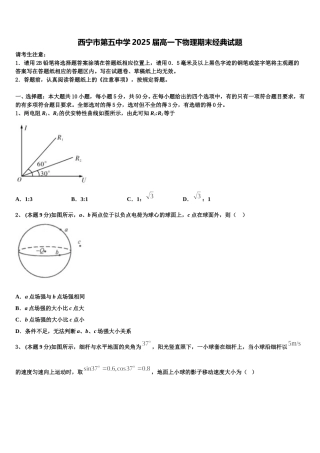 西宁市第五中学2025届高一下物理期末经典试题含解析