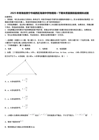 2025年青海省西宁市城西区海湖中学物理高一下期末质量跟踪监视模拟试题含解析