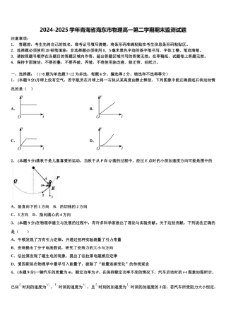 2024-2025学年青海省海东市物理高一第二学期期末监测试题含解析