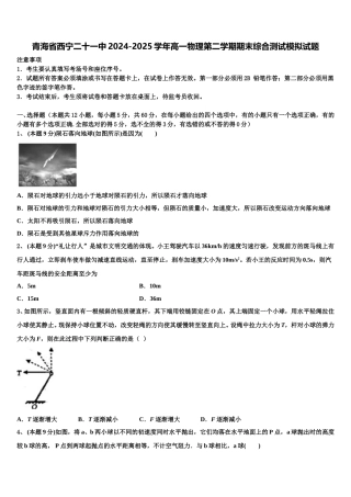 青海省西宁二十一中2024-2025学年高一物理第二学期期末综合测试模拟试题含解析