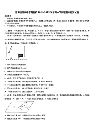 青海省西宁市示范名校2024-2025学年高一下物理期末监测试题含解析