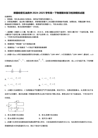 新疆哈密石油高中2024-2025学年高一下物理期末复习检测模拟试题含解析