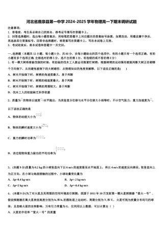 河北省鹿泉县第一中学2024-2025学年物理高一下期末调研试题含解析