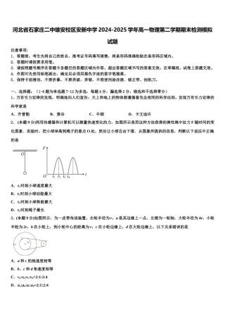 河北省石家庄二中雄安校区安新中学2024-2025学年高一物理第二学期期末检测模拟试题含解析