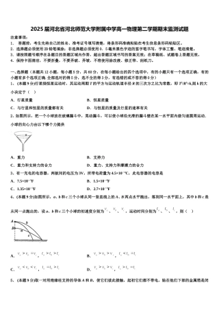 2025届河北省河北师范大学附属中学高一物理第二学期期末监测试题含解析