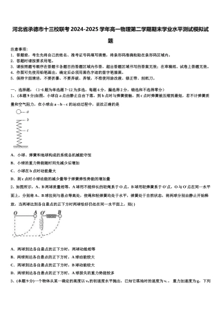 河北省承德市十三校联考2024-2025学年高一物理第二学期期末学业水平测试模拟试题含解析