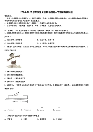 2024-2025学年学海大联考 物理高一下期末考试试题含解析