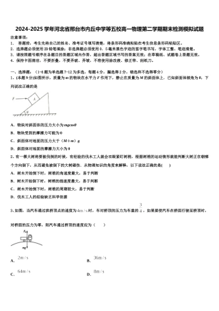 2024-2025学年河北省邢台市内丘中学等五校高一物理第二学期期末检测模拟试题含解析