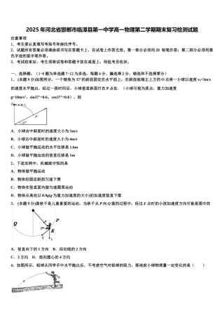 2025年河北省邯郸市临漳县第一中学高一物理第二学期期末复习检测试题含解析