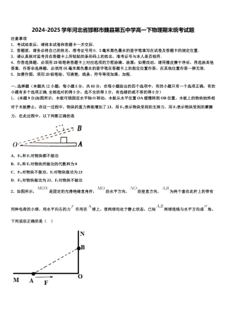 2024-2025学年河北省邯郸市魏县第五中学高一下物理期末统考试题含解析