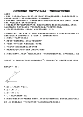 河南省新野县第一高级中学2025届高一下物理期末统考模拟试题含解析