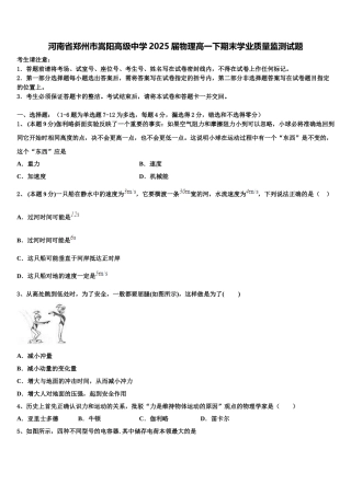 河南省郑州市嵩阳高级中学2025届物理高一下期末学业质量监测试题含解析
